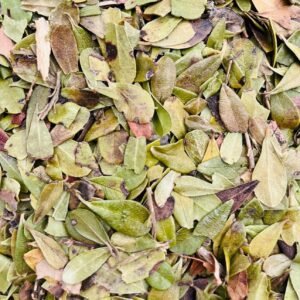 Infección orina(gayuba) 50grs(2,50€)
