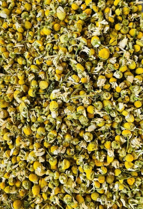Manzanilla verde 50grs(2,50€)