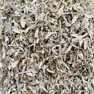 Salvia