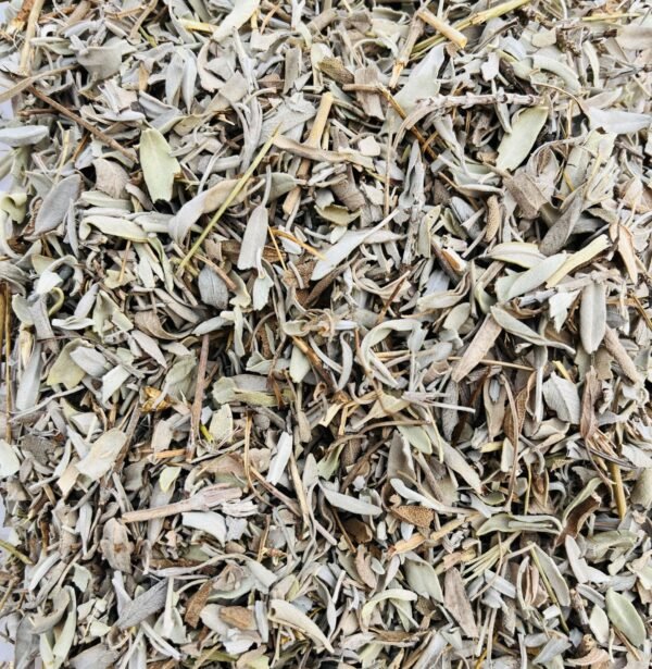 Salvia